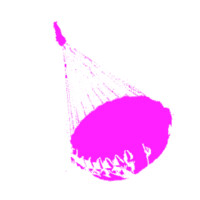 Z C K