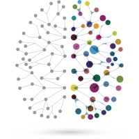 Perth Brain Centre logo - Similar company to Mindstate Psychology