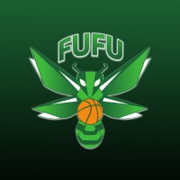 BASK FURDENHEIM logo - Similar company to Moc Handball