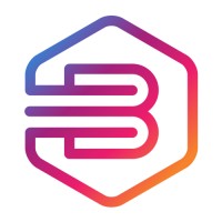Brace Media logo - Similar company to Assayindia.Com