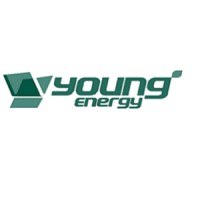 Zhejiang Young Energy Technology Co., Ltd logo - Similar company to Aisun