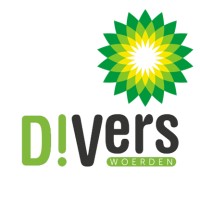 D!Vers Woerden logo - Similar company to Solar Art Woerden