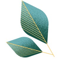 Smart Wealth logo - Similar company to Smart Wealth Financial Services