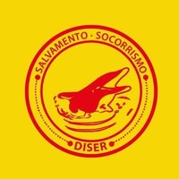 Diser Esports logo - Similar company to Awlux Company
