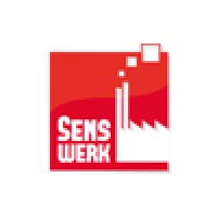 Senswerk Digital logo - Similar company to Brandthing