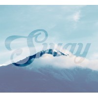 Sway World logo - Similar company to Layer Flow Gateway