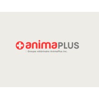 Anima-Plus logo - Similar company to Agc Communications