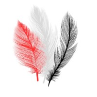 Better Life HOPE logo - Similar company to Adapt Plan Management