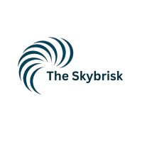 The Skybrisk logo - Similar company to The Developers Arena