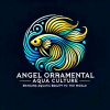 Angel Ornamental Aqua Culture logo - Similar company to Qualitrain Engineering Academy