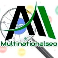 multinationalseo logo - Similar company to Cr Digital