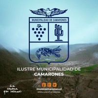 Ilustre Municipalidad De Camarones