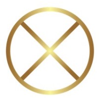 Xnumia logo - Similar company to Dgb Group