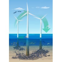 4Sea Coalition logo - Similar company to Ark Referrals At Holly House Vets