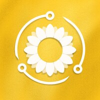 Sunflower EcoTech 🌻 logo - Similar company to Silvi