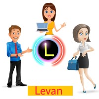 Levan IT Consulting Pvt Ltd logo - Similar company to Mavell Solutions Pvt Ltd