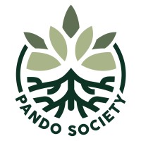Pando Society logo - Similar company to International Property Funds Management