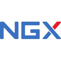 NGX Technologies Pvt Ltd logo - Similar company to Rugged Board Group