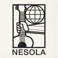 Nesola GmbH logo - Similar company to Sussudio