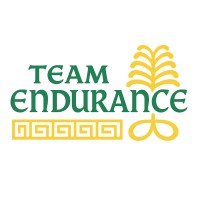 TeamEndurance.net logo - Similar company to Financial Trust Group