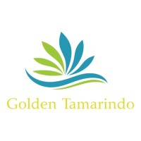 Golden Tamarindo Develoments logo - Similar company to Grupo Gbm Proyectos & Wholesalers