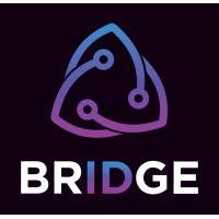 Bridge Protocol logo - Similar company to Mwka Technologies