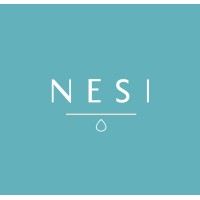 Nesi Oy logo