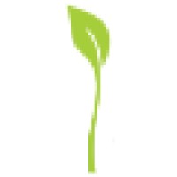 c to c events logo - Similar company to Go Entertainment Studios