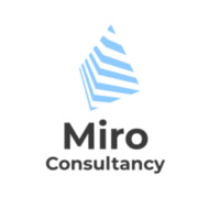 Miro Consultancy logo - Similar company to Miro Consulting