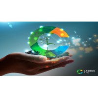 Carbon AMS logo - Similar company to Dappertoast/Jumblejoy.Com