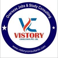 Vistory Consultants Pvt. Ltd. logo - Similar company to Vistory Secure
