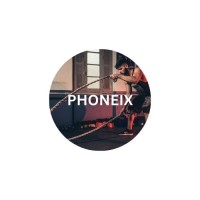 phoneix logo - Similar company to Phoneix