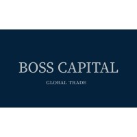 BOSS CAPITAL LTD. logo - Similar company to Change Color