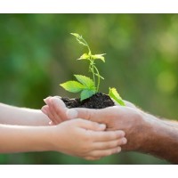 BioScrap Solutions logo - Similar company to Dangy