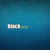 BlackRock IT Group logo - Similar company to Blackrock Construction Group