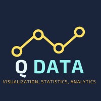 qdataviz logo - Similar company to Fiscal Plus