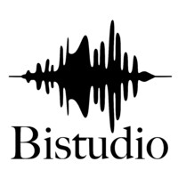 Bistudio - Studio di registrazione / Sala prove logo - Similar company to Hanxgame Ltd Sti