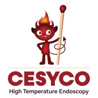 CESYCO logo - Similar company to Tuilerie Lambert
