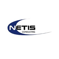 Netis Consulting logo - Similar company to Software Worx