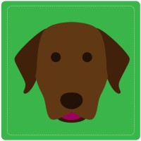 Brown Dog Marketing Agency logo - Similar company to Browndog
