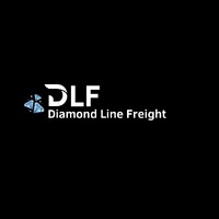 Diamond Line Freight logo - Similar company to National Logistics