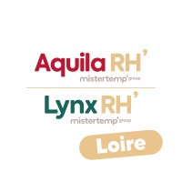 Aquila RH & Lynx RH Loire logo - Similar company to Artic 42