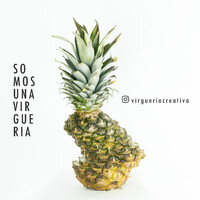 Virguería Creativa logo - Similar company to Modexpor Internacional Sl