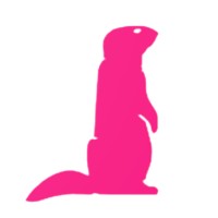 Pink Marmot Studios logo - Similar company to Fabloo Games