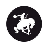 SuperAssociates logo - Similar company to Duffy & Shanley