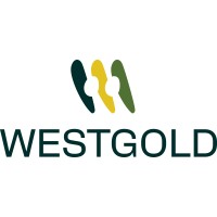 Westgold Resources Limited logo - Similar company to Mlg