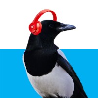 The Marketing Magpie