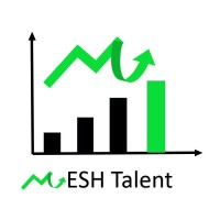 Mesh Talent SA logo - Similar company to Ibizvalue