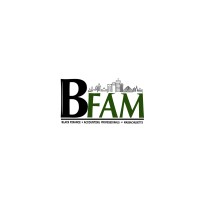 Black Finance and Accounting Professionals of Massachusetts logo - Similar company to Black Project Managers