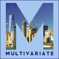 MULTIVARIATE logo - Similar company to Rcvc